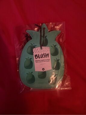Blush Pineapple Ice Mold - Mint